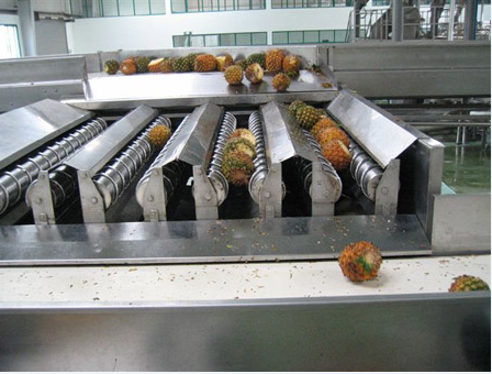 <b>菠蘿加工生産線</b>