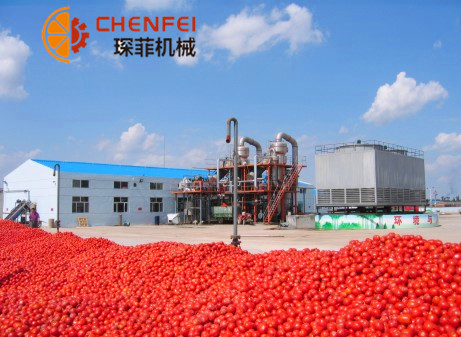 <b>2000噸/天番茄醬生産線  番茄加工設備</b>