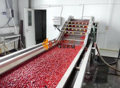 <b>棗/山楂類水果加工生産線</b>