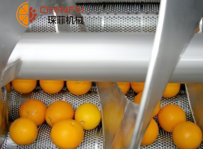 <b>柑橘類水果加工生産線</b>