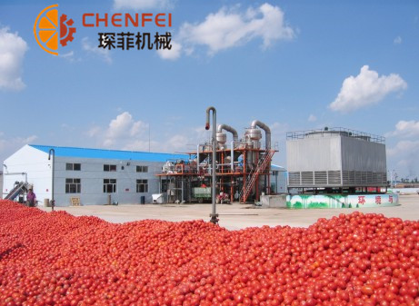 <b>番茄/胡蘿蔔/枸杞/沙棘類蔬菜加工生産線</b>