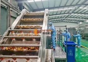 桃/杏/李子類水果加工生産線