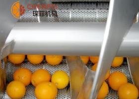 柑橘類水果加工生産線