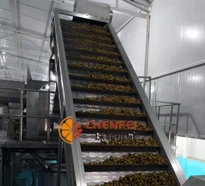 <b>刺梨加工設備  刺梨口服液生産線 </b>