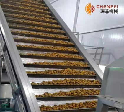 <b>每小時5噸刺梨汁生産線  10噸刺梨加工設備</b>